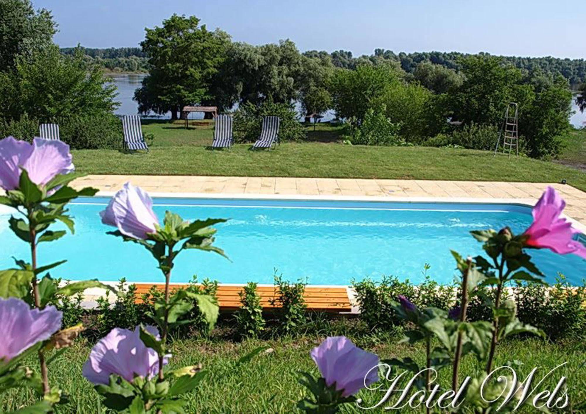 Hotel Wels Băltenii de Sus Εξωτερικό φωτογραφία